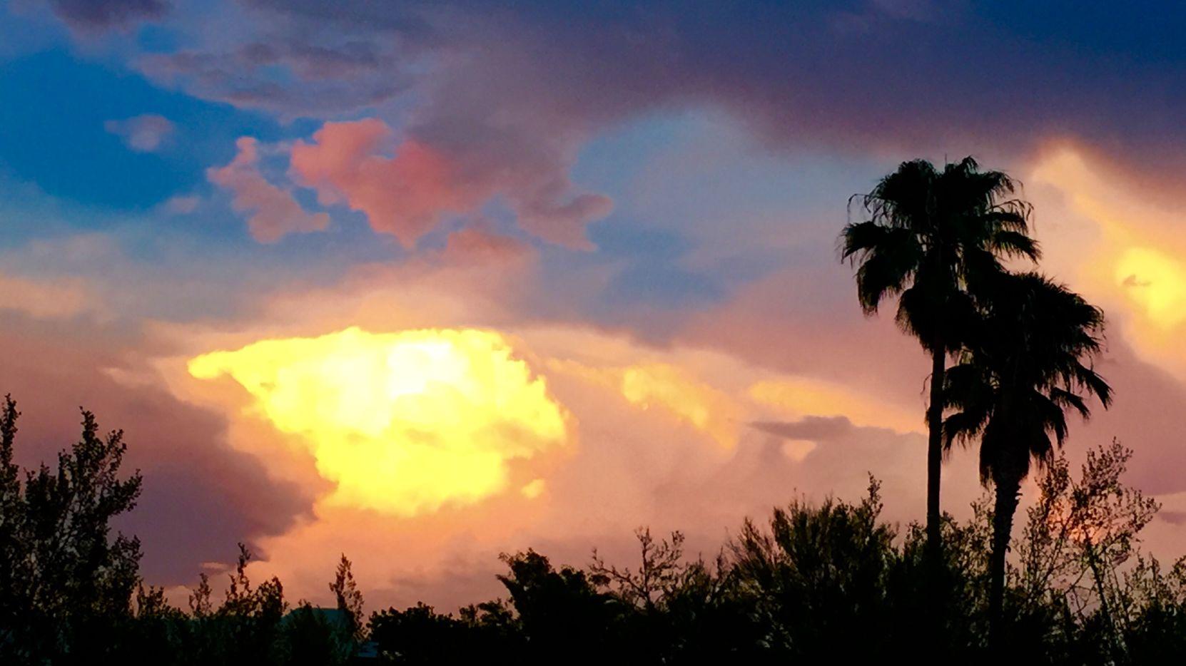 Tucson sunset